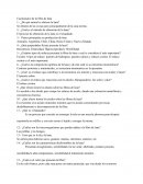 Cuestionario de la fibra de lana