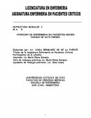 ATENCION DE ENFERMERIA EN PACIENTES RECIEN NACIDO DE ALTO RIESGO