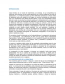 Ensayo de El poder la identidad - Manuel Castells