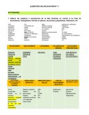 EJERCICIO DE APLICACIÓN ESPAÑOL