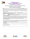 Ficha técnica para la implementación del quehacer pedagógico (diario de campo)