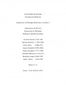 Extracción de Plásmido