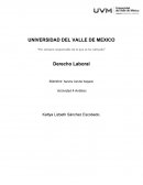 Respaldo de Ley para menores y caso de maternidad