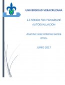 Pueblos indigenas ¿Qué aprendí? CABEZA