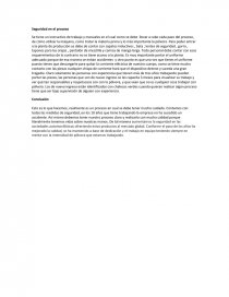 Seguridad en el proceso. Página 1