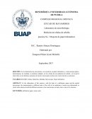 Laboratorio practica de microbiología