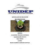 Ensayo REFORESTACIÓN