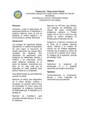 Práctica No. 7 Reacciones Febriles