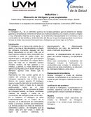 Obtención de hidrógeno y sus propiedades