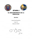 EL DESCUBRIMIENTO DE LA PENICILINA BIOLOGIA