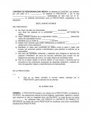 Convenio de responsabilidad medica