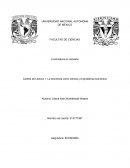 Control de Lectura 1: La economía como ciencia y el problema económico