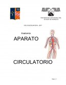 Antología de aparato circulatorio