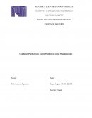 Conductas Productivas y contra Productivas en las Organizaciones