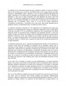 DINAMICAS EN LA AMAZONIA