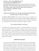 ESCRITO DE RECURSO DE APELACIÓN Y EXPRESIÓN DE AGRAVIOS