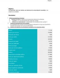 Comprender cómo se realiza una balanza de comprobación ajustada y los estados de resultados. Página 1
