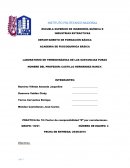 EL LABORATORIO DE TERMODINÁMICA DE LAS SUSTANCIAS PURAS PRÁCTICA No 10: Factor de compresibilidad “Z” por correlaciones.