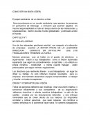 COMO SER UN BUEN LIDER. NO DIRIJIR LIDERAR