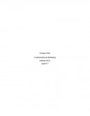 Ensayo Final - Fundamentos de Marketing