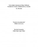 Los factores económicos son aquellas actividades que tienden a incrementar la capacidad productiva de bienes