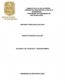 DIVISIÓN DE CIENCIAS DE LA SALUD E INGENIERÍAS