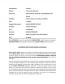 Ejemplo recurso de proteccion