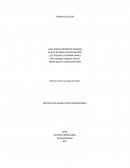 Informe sobre la teoría del color