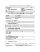 FICHA DE REQUERIMIENTO CLIENTES (INTERNO Y EXTERNO)