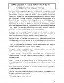 LOS NUEVOS PROYECTOS FORMATIVOS-CULTURALES-LABORALES