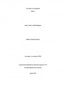 ¿Por qué necesito un servidor de seguridad?