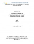 PASO 3. VERIFICAR LA NORMA ISO 14001:2004 PARA LA ELABORACION DEL PLAN DE AUDITORIA