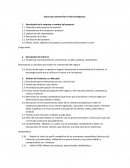 Guion para Desarrollar el Plan de Negocios