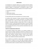 Los aminoácidos son compuestos orgánicos que se combinan para formar proteínas