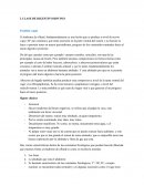 EL NUEVO CLASE DE DIGESTIVO BOVINO