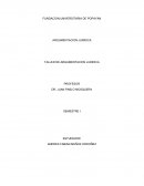 Trabajo argumentacion juridica