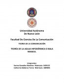 TEORÍA DE LA AGUJA HIPODÉRMICA O BALA MAGICA