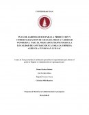 PLAN DE AGRONEGOCIOS PARA LA PRODUCCION Y COMERCIALIZACION DE GRANADA FRESCA VARIEDAD WONDERFUL PARA EL MERCADO EUROPEO DESDE LA LOCALIDAD DE SANTIAGO DE ICA PARA LA EMPRESA AGRICOLA FUNDO SAN LUIS SAC