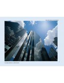 Objeto de estudio: Cargo de Director