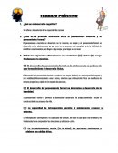 Trabajo de DESARROLLO COGNITIVO