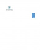 Informe análisis financiero de la empresa SQM