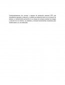 GUIA SEGURIDAD INDUSTRIAL