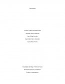 Énfasis en matemáticas