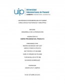 ASIGNACIÓN N°2 DISEÑO PRELIMINAR DEL PRODUCTO