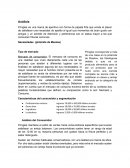 Caso pringles Análisis