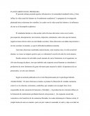 Influencia de la vida sexual en el desempeño académico