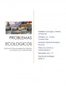 PROBLEMAS ECOLOGICOS ¿Qué son? ¿Cómo se originan? ¿Cuáles son sus causas? ¿Y sus consecuencias?