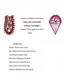Enfoque Tecnológico del Desarrollo Sustentable