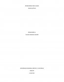 OPERACIONES CON FLUIDOS ÁCIDO ACÉTICO