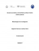 Metodología de la investigación - Contaminación de la naturaleza